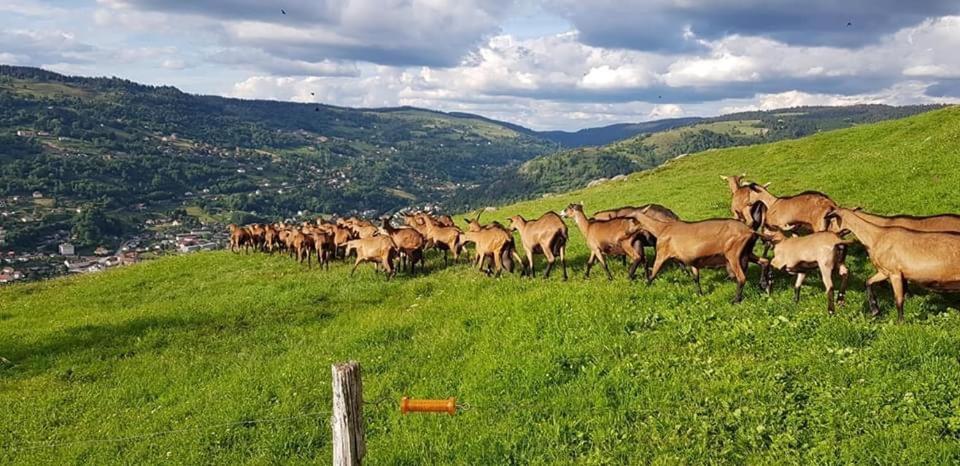 Chalet Spa Le Royal Nathalie Mn La Rouge La Bresse Kültér fotó